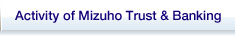 Activity of Mizuho Trust & Banking