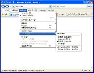 Internet Explorer 7の画像1