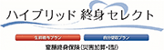 ハイブリッド終身セレクト 変額終身保険（災害加算・I型）